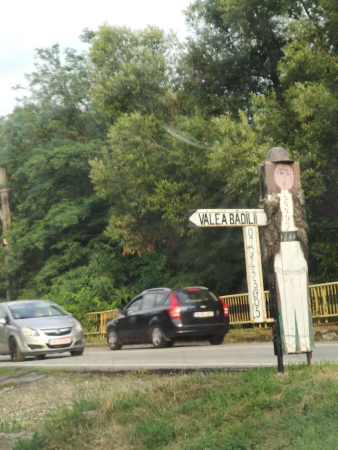 Pensiunea Valea Badilii Valea Iasului Экстерьер фото
