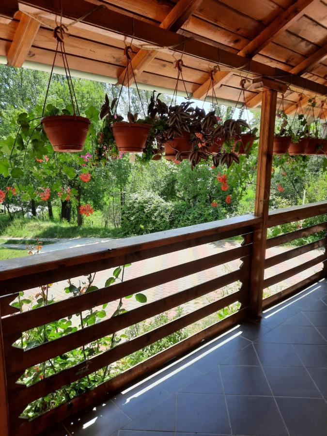 Pensiunea Valea Badilii Valea Iasului Экстерьер фото