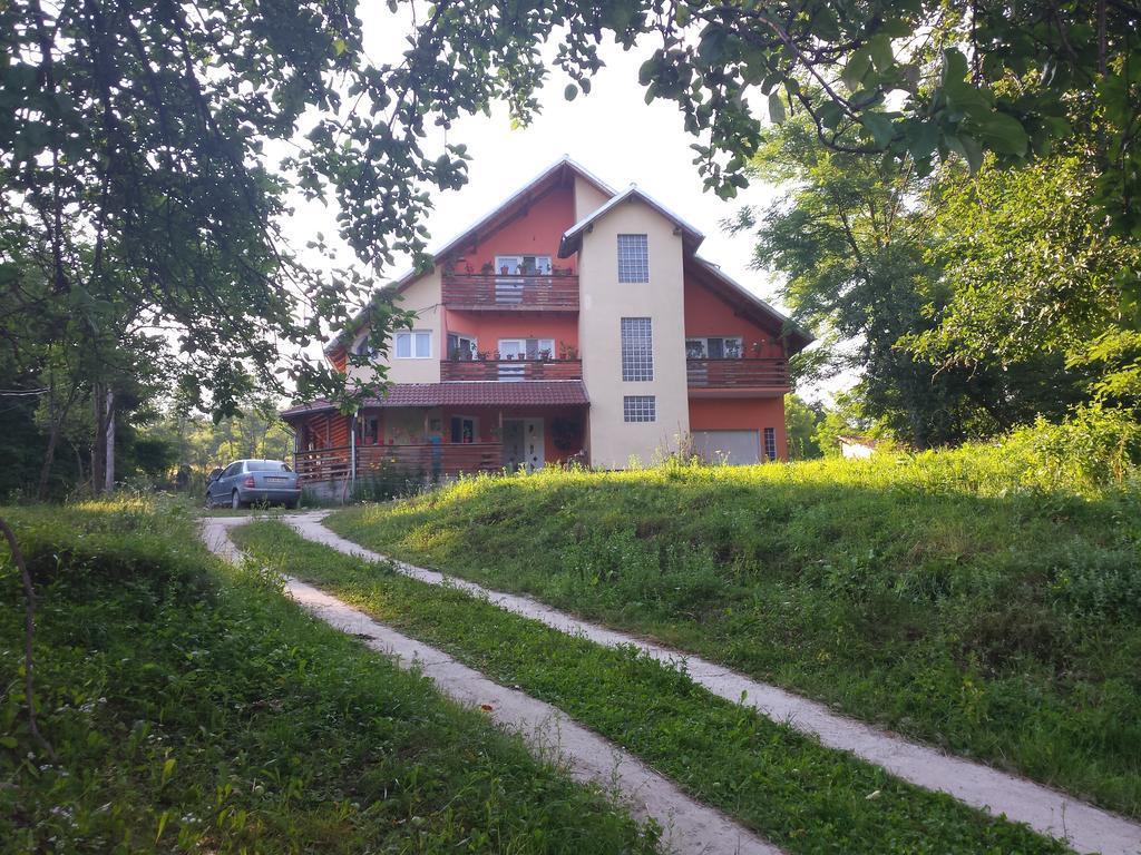 Pensiunea Valea Badilii Valea Iasului Экстерьер фото