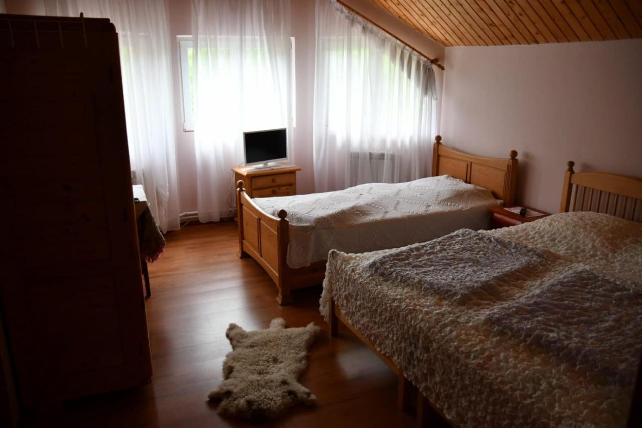 Pensiunea Valea Badilii Valea Iasului Экстерьер фото