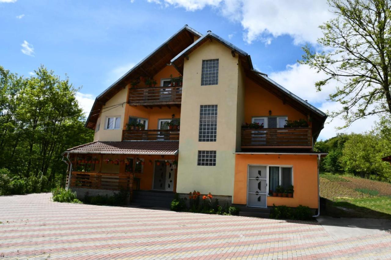 Pensiunea Valea Badilii Valea Iasului Экстерьер фото