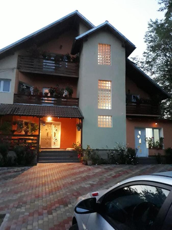 Pensiunea Valea Badilii Valea Iasului Экстерьер фото