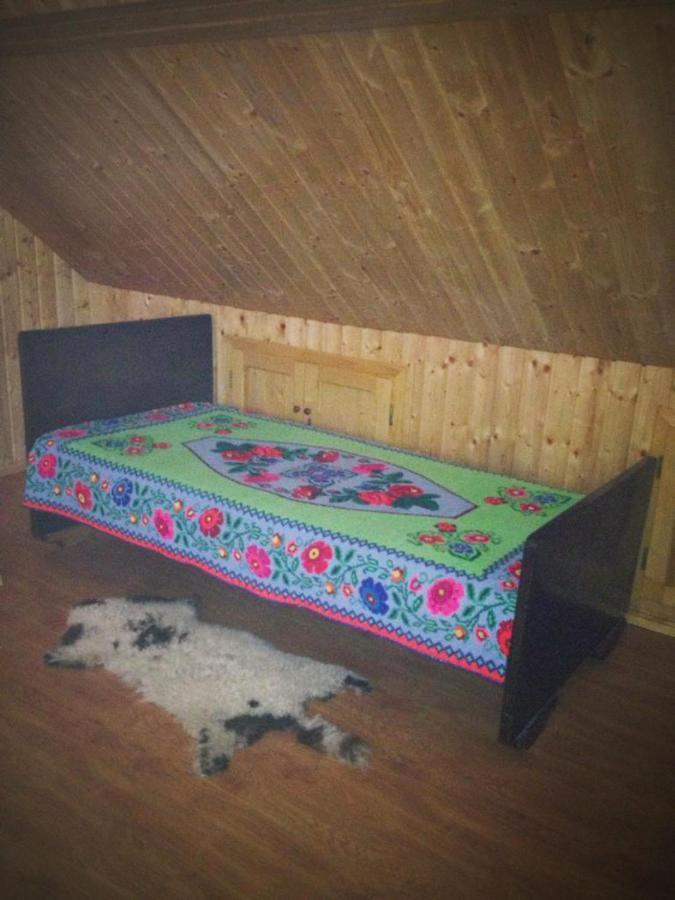 Pensiunea Valea Badilii Valea Iasului Экстерьер фото